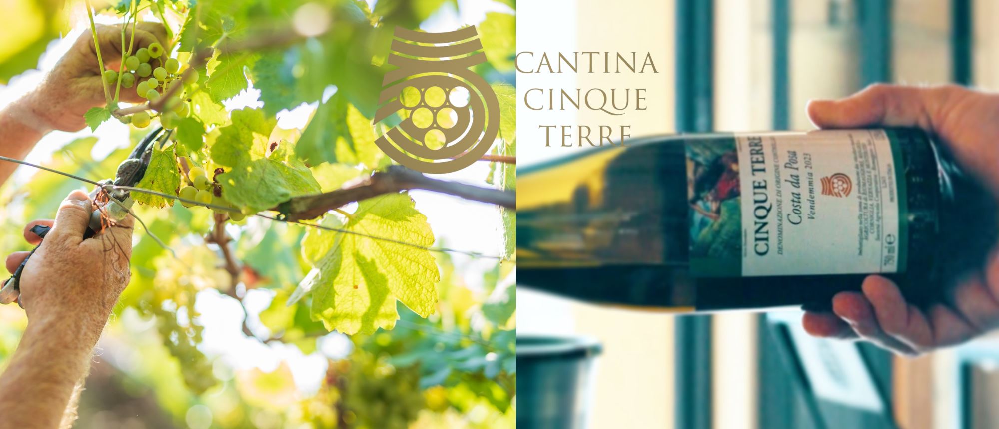 Cantina 5 Terre